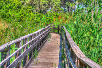 wooden path in Sardinia in hdr