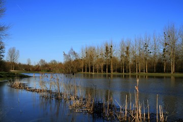 étang en Picardie