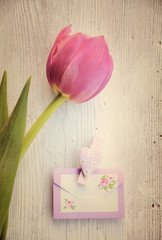 Gutschein - Briefumschlag mit Tulpe - nostalgisch