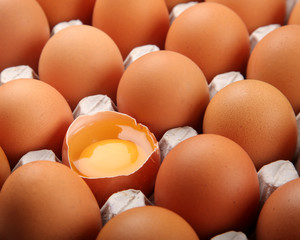 eggs