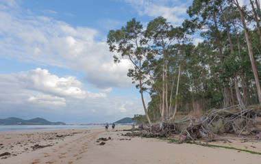 Paisaje con caballos