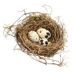 Naklejka na ściany i meble Three spotted eggs in a hay nest