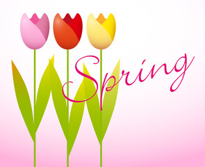 Three colorful tulips on a spring background