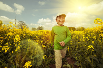 Fototapeta premium Boy on rapeseed field, tinted image