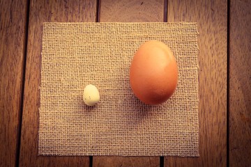 Two Eggs of different sizes