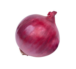 Лук репчатый красный