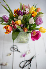 tulips
