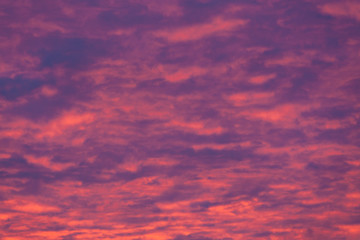 Naklejka na ściany i meble Vibrant purple clouds sunset