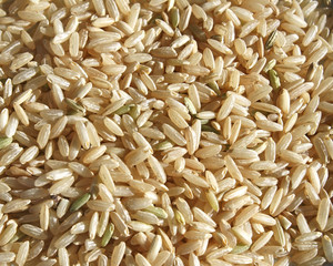 Grains of wholesome and nutritious brown rice