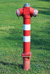 Fire hydrant in the park