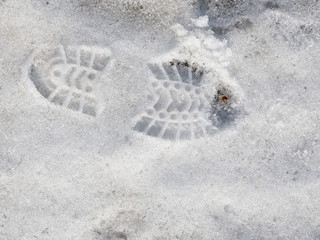 footprints in the snow