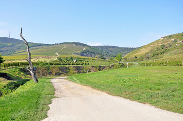 Country road to the winery, Tokaj, Hungary
