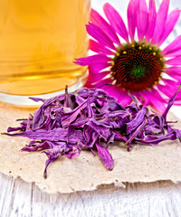 Echinacea dried on paper with mug