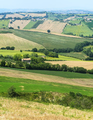 Summer landscape in Marches (Italy)