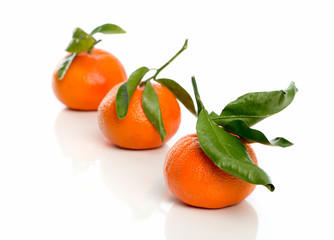 3 Mandarinen