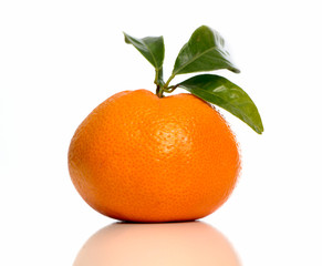 Mandarine gespiegelt