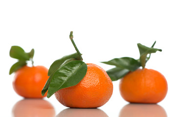 3 Mandarinen