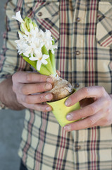 Man holding a white hyacinth flower in hands