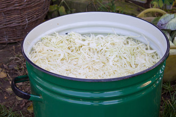 cabbage incised in a saucepan