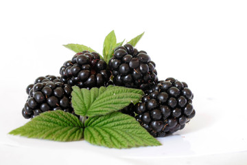 Blackberries