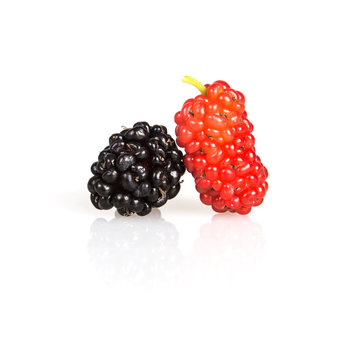 mulberry fruit on white background