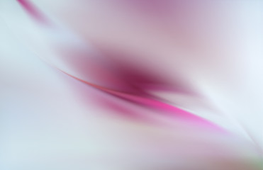 Delicate silk background rose on gray