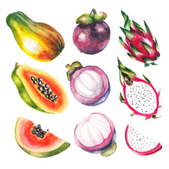 watercolor exotic fruits set