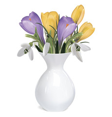 Bouquet of crocuses and snowdrops. Vector