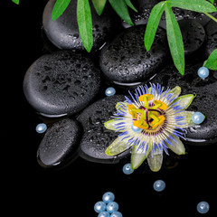 Obraz na płótnie Canvas spa concept of passiflora flower, green branches, zen basalt s