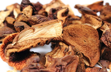 Heap of dried mushrooms on white background