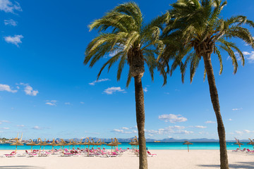 Mallorca Platja de Alcudia beach in Majorca © lunamarina