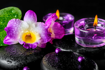 Obraz na płótnie Canvas spa concept of orchid flower, zen basalt stones with drops, lila