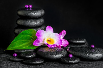 Obraz na płótnie Canvas spa concept of purple orchid flower, green leaf, pyramid zen bas