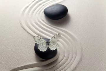 Deurstickers Vlinder Zen stenen tuin