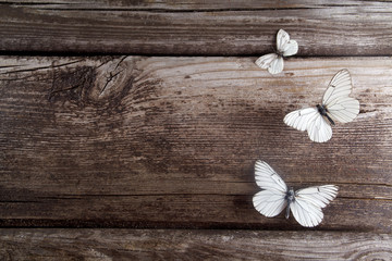 Butterfly on wooden background