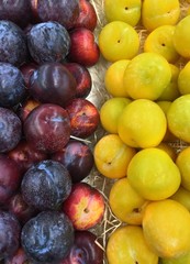 prunes