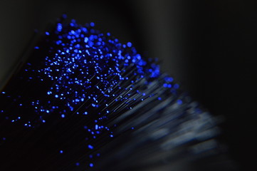 Fibre ottiche