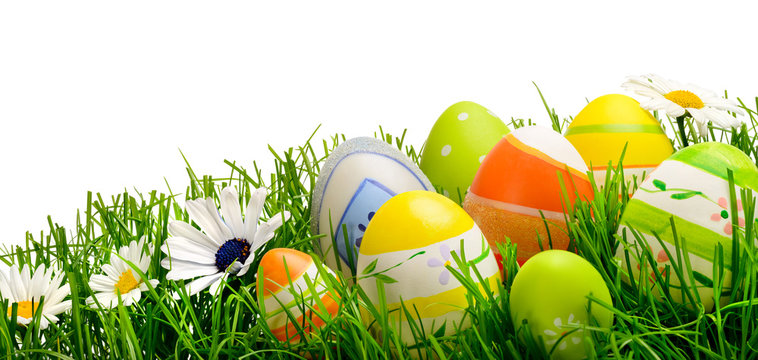 Osterdekoration auf Gras vor wei&szlig;em Hintergrund