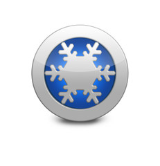 Blue button with snowflake inside. New year