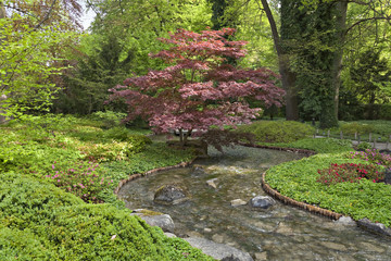 Japanischer Garten mit Bach