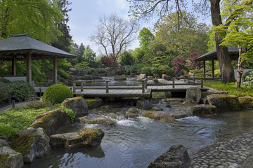 Fototapeta na wymiar Japanischer Garten mit Teichanlage