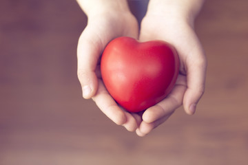 Fototapeta premium heart in hands