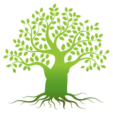 Green tree silhouette on white background, vector illustration