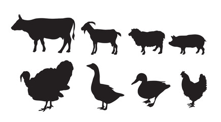 Vector farm animal