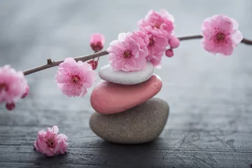 Fotobehang Zen zen bloemen  © Toanet