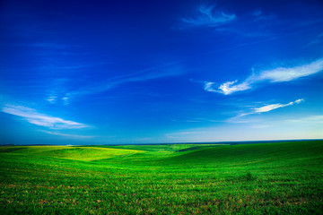 Beatiful morning green field with blue heaven