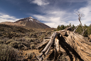 Monte TEIDE