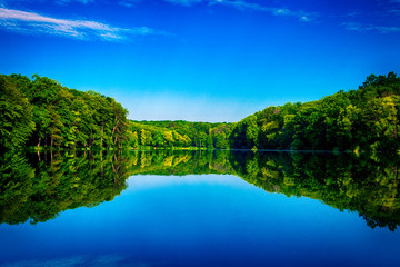 Picturesque forest and the river