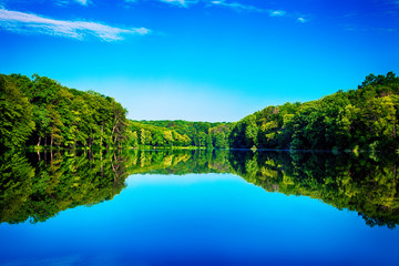 Picturesque forest and the river