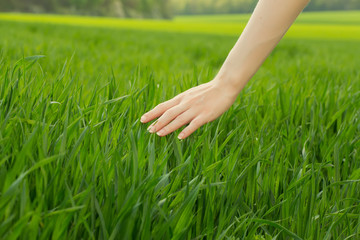 close up of a woman's hand touching the saturated grass, 'feelin